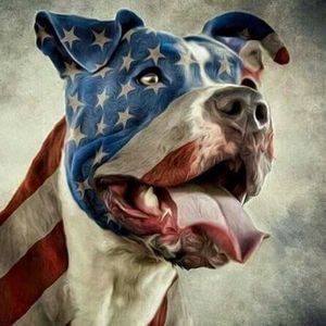 Meet your Posher, Adrian